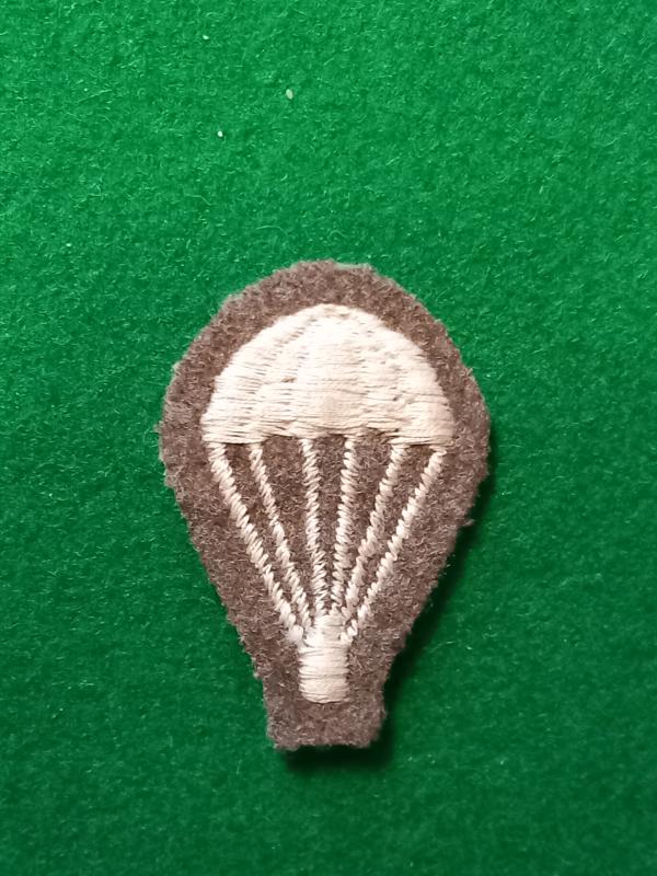 PARACHUTE TRAINED ` LIGHT BULB `  BADGE