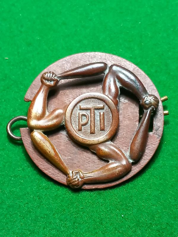 ROYAL AIRFORCE P.T INSTRUCTOR BADGE  (SMALL)