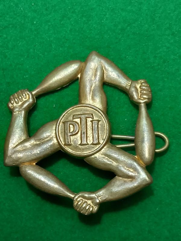 ROYAL AIRFORCE P.T INSTRUCTOR BADGE